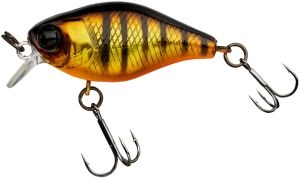 Wobler Chubby 38 Aurora Black and Gold